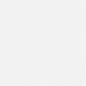 Profile photo of Jen Li